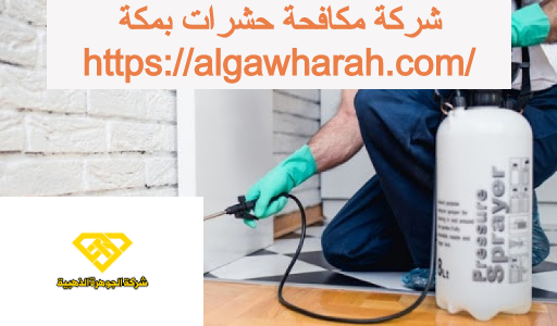 شركات مكافحة حشرات بمكة المكرمة - دليل شامل