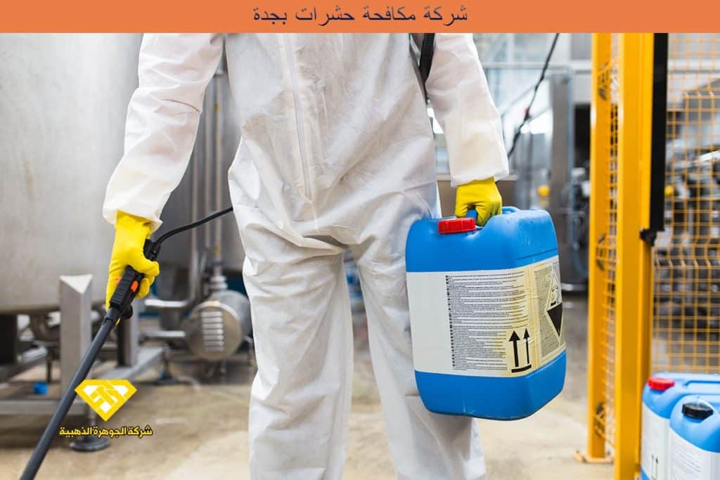 شركة مكافحة حشرات بجدة