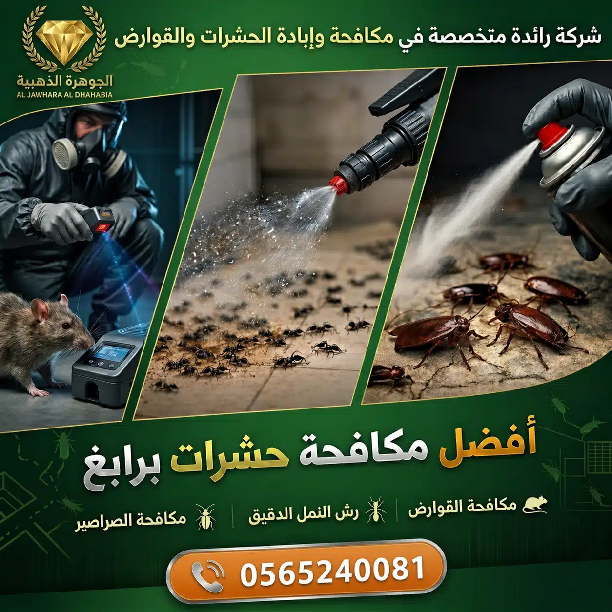شركة مكافحة حشرات برابغ