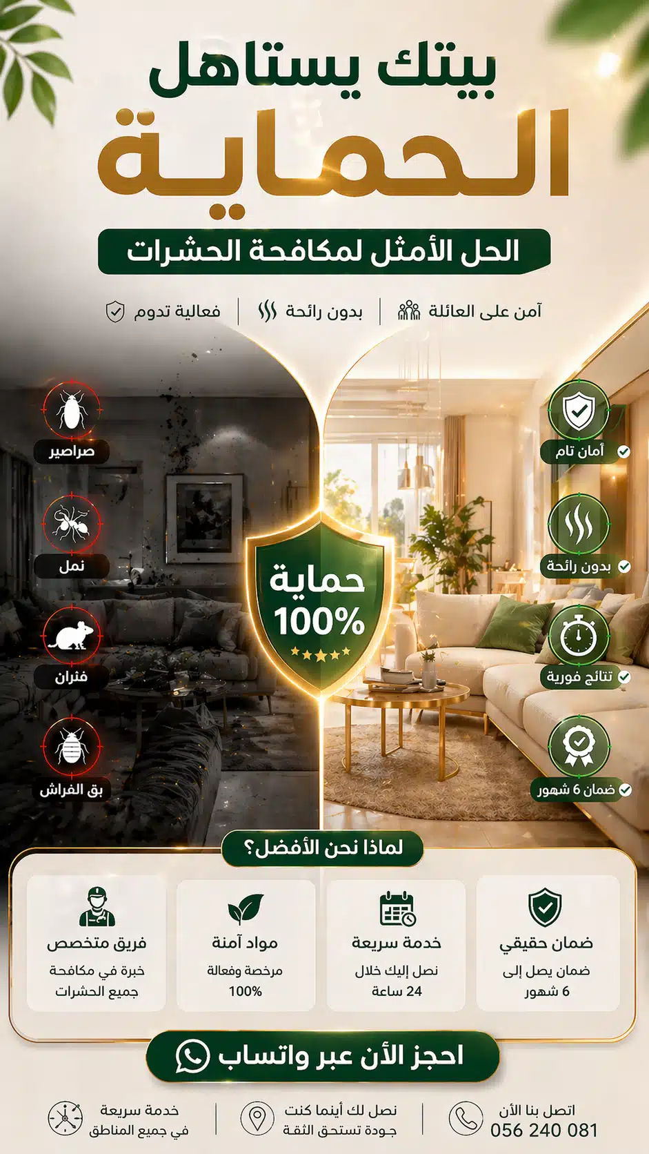 ارخص شركة مكافحة الحشرات برابغ